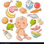 برنامه غذایی نوزاد در شروع غذای کمکی